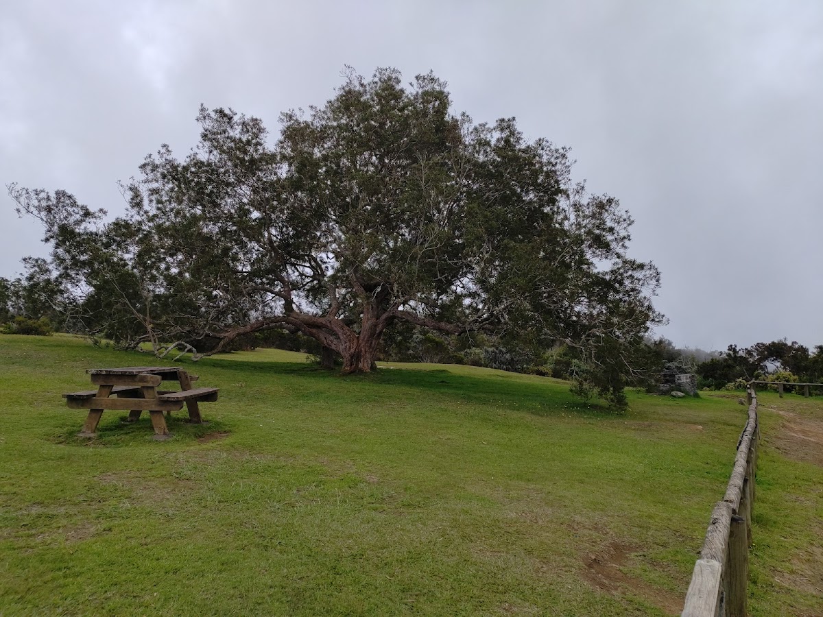 LE BELVEDERE - photo 3